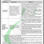 Federal Board of Revenue FBR New Jobs 2024 for Managers